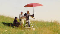 sunny field